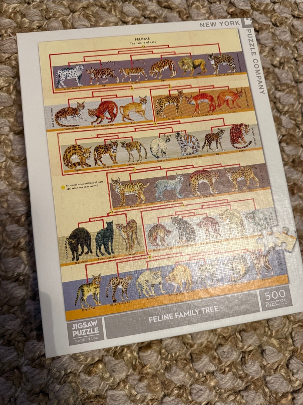 Feline Family Tree Jigsaw Puzzle - 500 Piece - Multicolor